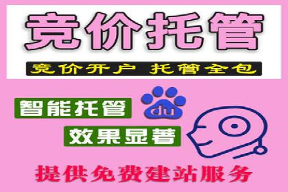成功案例揭秘：SEM代运营托管公司的服务与效果